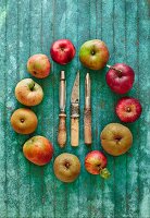 Apfelring und alte Schäler