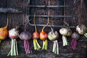 A row of various types of turnips