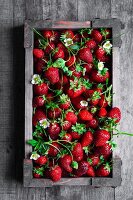 Fresh strawberries with flowers in a wooden crate