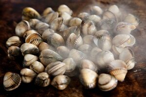 Steaming grilled cockles