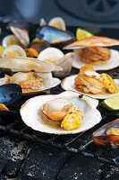 Grilled clams with lime & garlic butter on a grill rack