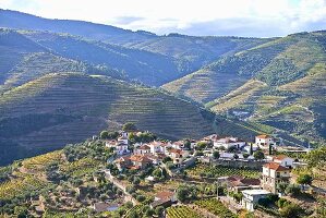 Das Douro-Tal, Vale de Mendiz, Portugal