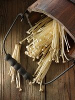 Freshly picked enokitake (Flammulina velutipes) mushrooms in a wooden bucket