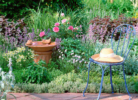 Herb bed, Thymus, Mentha, Melissa, Origanum