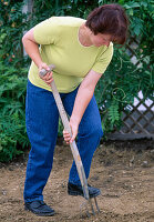 Planting a perennial bed: Soil preparation: 3