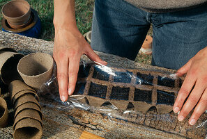 Sowing of Lathyrus odoratus: Cover moistened pots with foil to keep the moisture (6/6)