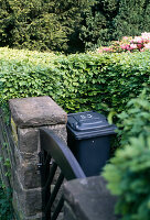 Garbage place planted with hedge