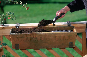 Vegetable sowing with seed band