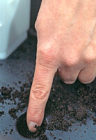 4.STEP: to ensure the wicking effect, fill in the connecting holes with soil