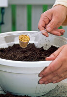 Step 3: Spreading permanent fertiliser