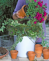 Hanging basket bepflanzt (3/3): Den Korb mit weiteren Schichten versehen