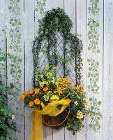 Drahtkorb mit Hedera (Efeu), Calendula (Ringelblume),