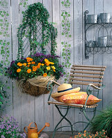 Wire basket on the wall with hedera (ivy), heliotropium