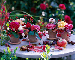 Rosa (Rosen und Hagebutten), Aesculus (Kastanien), Malus (Äpfel), Tontöpfe mit Oasis