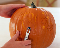 Carving pumpkin, cucurbita pepo (pumpkin)