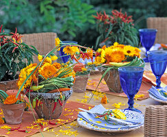 Calendula (marigold)