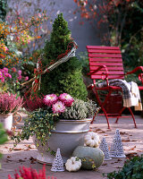 Pot with sugar loaf spruce (2/2), Picea 'Conica' (sugar loaf spruce), Calluna (heather)