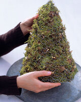 Moss cone with Crocus (6/10)