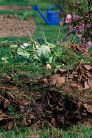Compost: vegetable waste, lawn clippings and autumn leaves on the compost heap