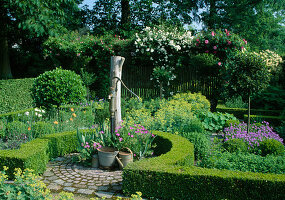 Formal garden with swan pump on roundel with paving, hedges of Buxus (box), Rosa (roses) and perennials