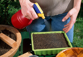 Vegetable sowing Moisten soil (4/8)