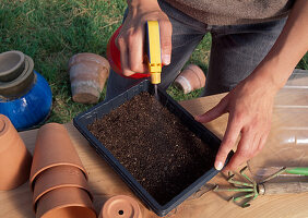 Lettuce sowing 4th step: Moisten the soil evenly with a sprayer (4/5)