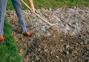 Soil preparation for sowing or planting Working in rock flour and wood ash (3/4)