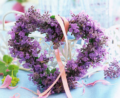 Nepeta (catmint)