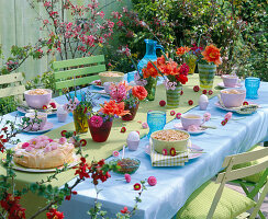 Breakfast table with tulipa (tulip)