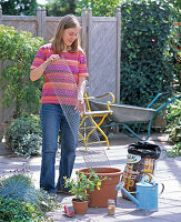 Planting tubs with sweet pea