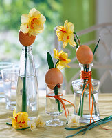 Daffodils stuck through egg