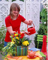 Plant a colorful wicker basket