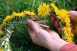 Dandelion wreath