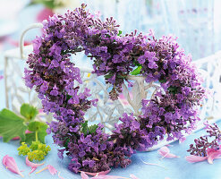 Nepeta (catmint)