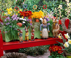 Rote Holzbank mit Holzkasten: Ipheione, Narcissus