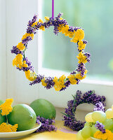 Achillea (Yarrow), Lavandula (Lavender)