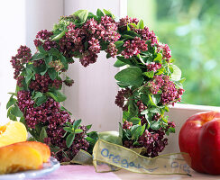 Origanum (Oregano) zum Kranz gewickelt