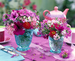 Petunia (Petunia), Pentas