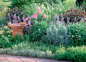 Herbs bed