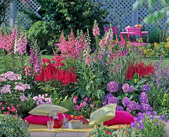 Astilbe, Digitalis (Foxglove)