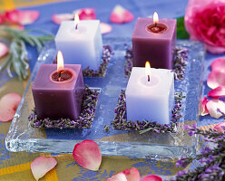 Square candles on glass plate