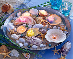 Zinc bowl with sand, shells, stones, starfish