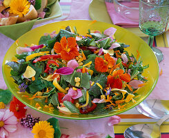 Eßbare Blüten: Salat mit Tropaeolum (Kapuzinerkresse)
