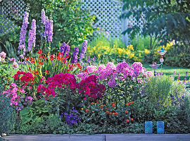 Phlox (flame flower), Delphinium (delphinium)