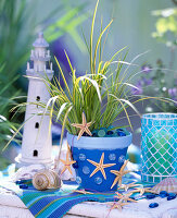 Decorate clay pots maritim