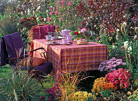 Set table with cotinus (wig bush)