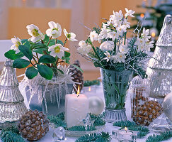 Helleborus niger in a silver pot, sturgeon from Narcissus