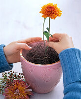 Autumn bouquet with dahlias and grasses