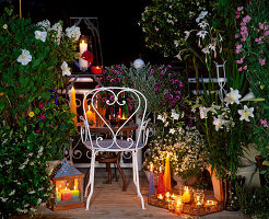 Evening balcony (fragrance): Moon bindweed, phlox, nicotiana