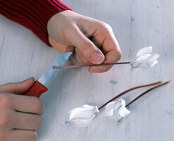 White cyclamen with silver wire (3/5)
